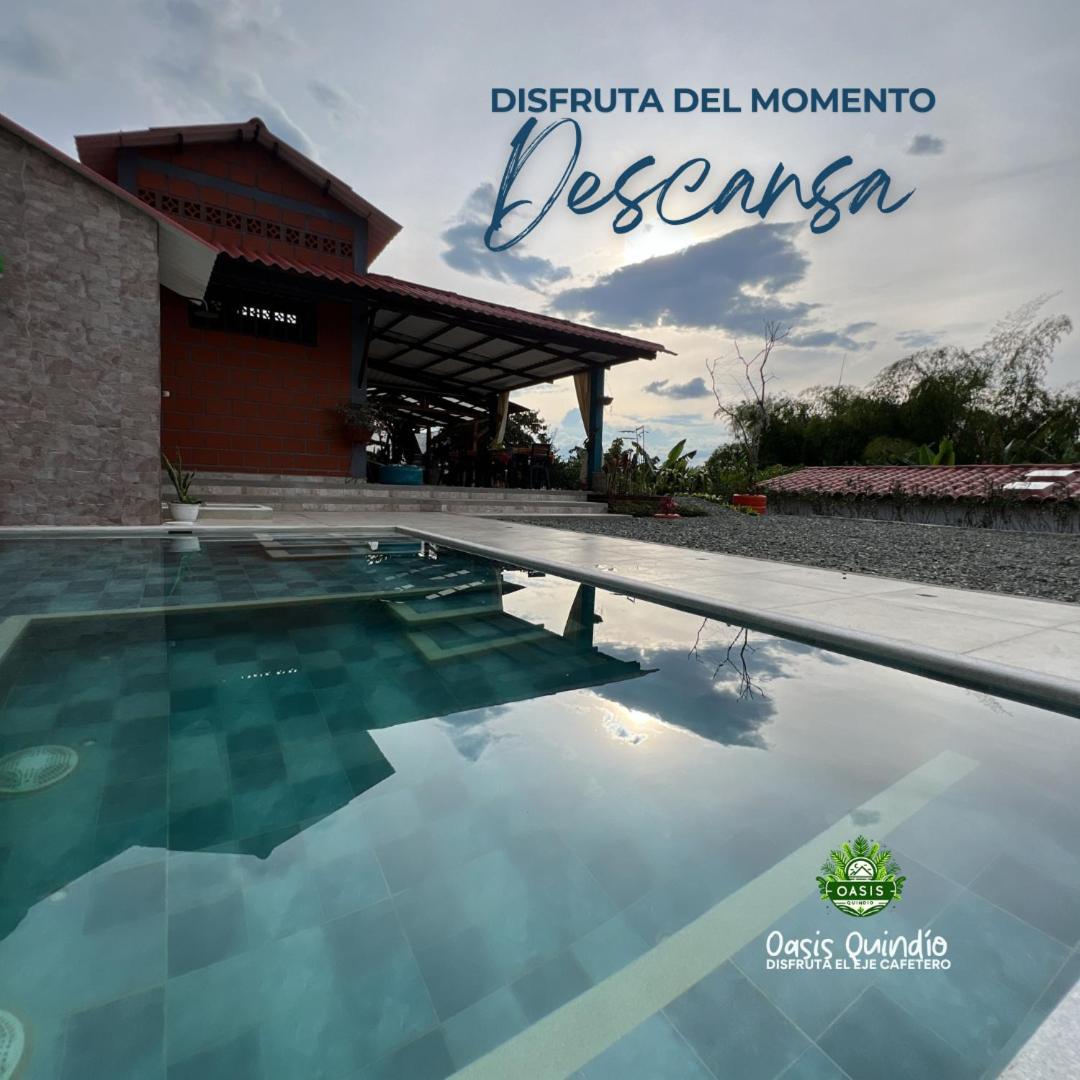 Oasis Quindio Pensionat Circasia Exteriör bild